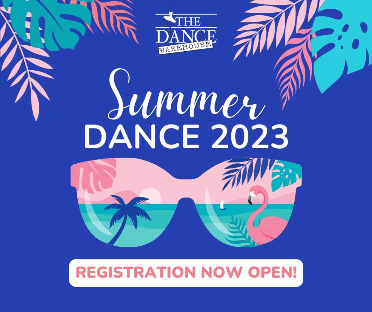 The Dance Warehouse Dance School Chanhassen, Minnesota